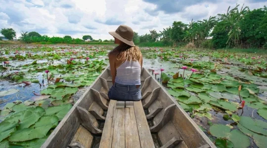 レッドロータス水上マーケットでドローン撮影 + 世界遺産・アユタヤ+象乗り体験付き＜日本語ガイド/昼食付き＞